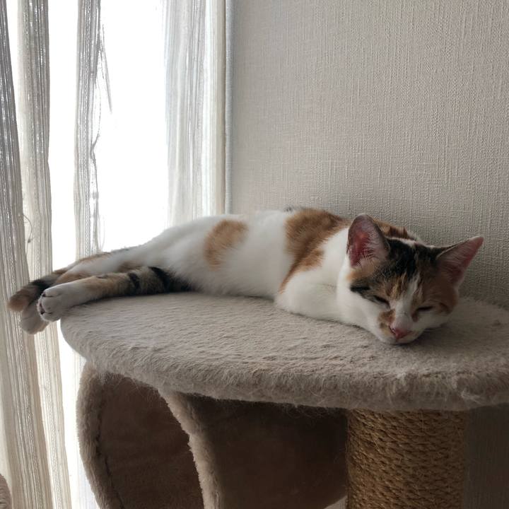 53df1faf ce11 49bd 87f6 71c20d63f614 1567035236056