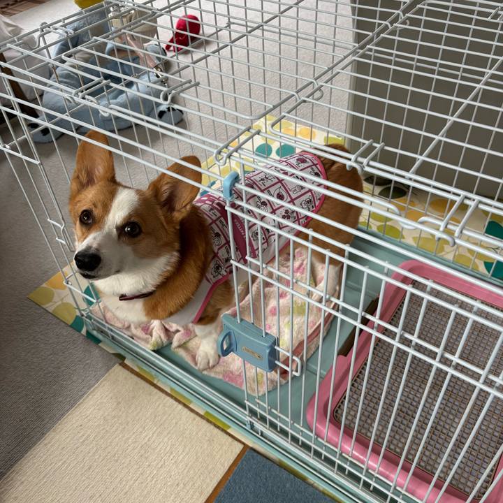 53df2615 f1ff 4c13 9de0 fbc8fd298ab5 1762053422506