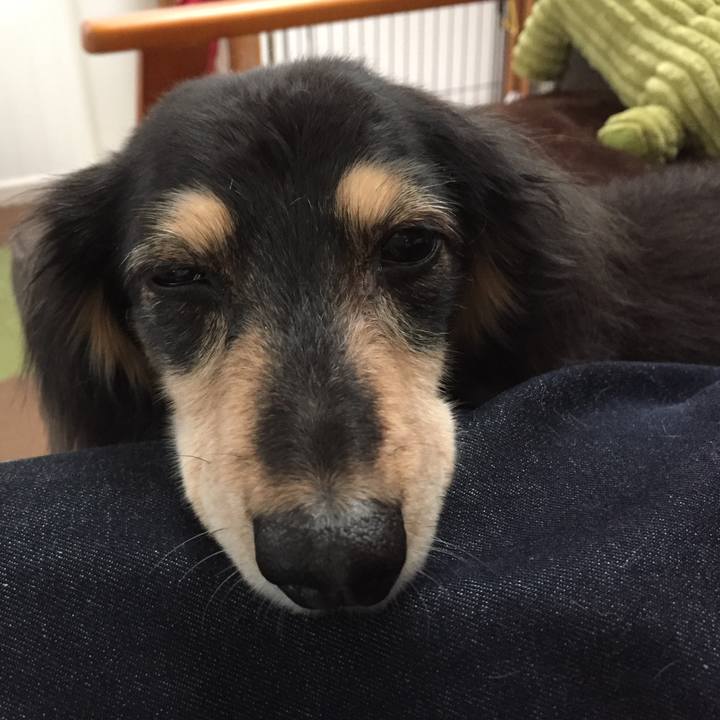 53df2d98 45b7 435f 8fc3 4de734d8d69b 1588481247099