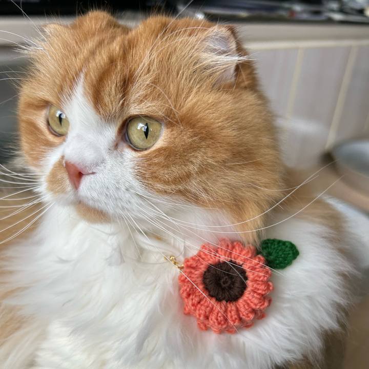 53df9215 280d 4bca 9f7e 2facbe969412 1687659090729