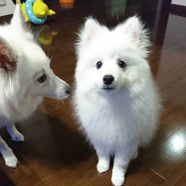 53dfbc06 f2d5 4d69 8c5e a79b6d69f449 1548592039246