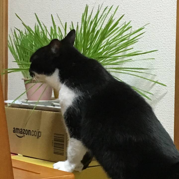 53dfd719 1762 434f bbd5 2620e939d319 1526738361172