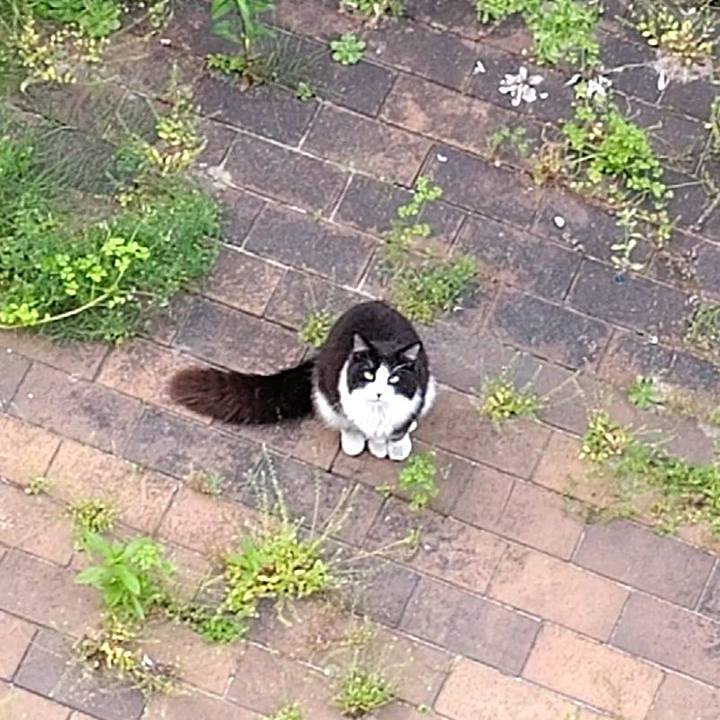 53dfecb6 5749 463f acb0 deb8957d2a93 1589322887799