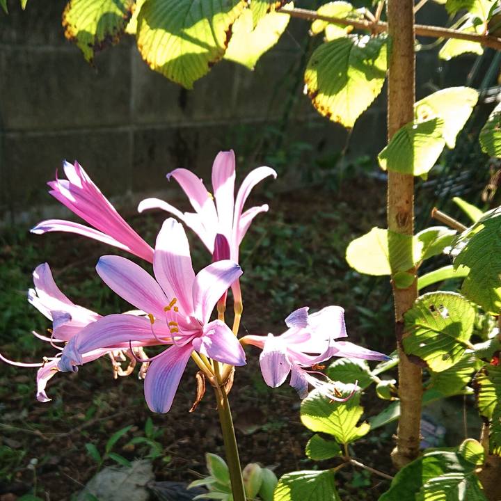 53dff56d 5d34 46af bc95 70772bedcf56 1661730613985