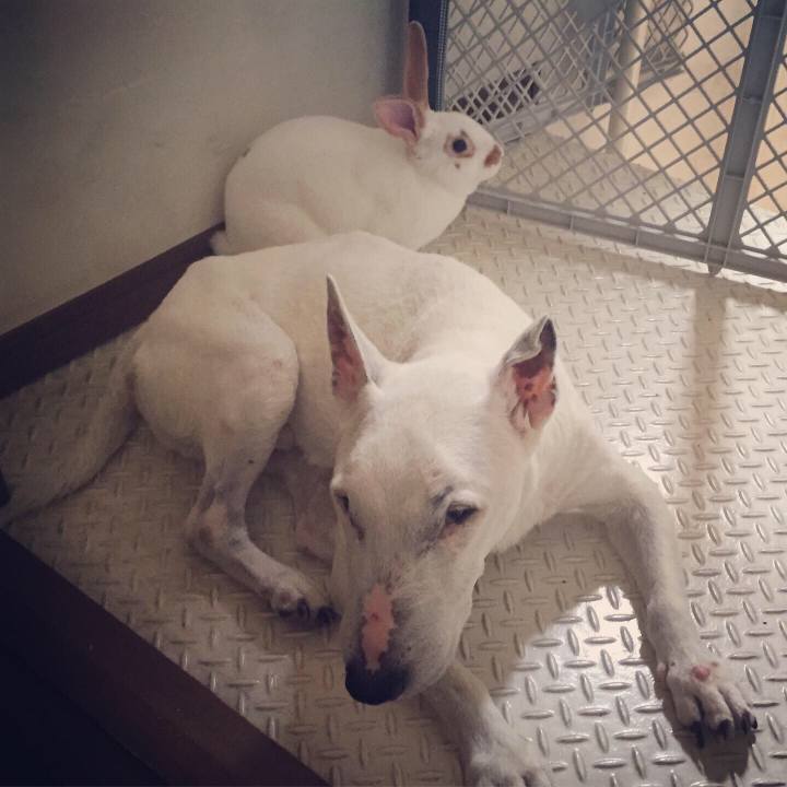 53dff613 6675 481d 9e2a c380c8a20ac8 1596159483049