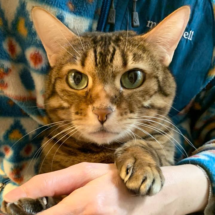 53dff729 f23f 4f4b 95f8 1a99783f0aa1 1612312355122