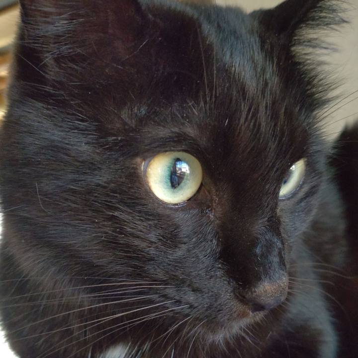 53dfff32 319e 49fe a0ec 0cbf5146e7de 1695512679105