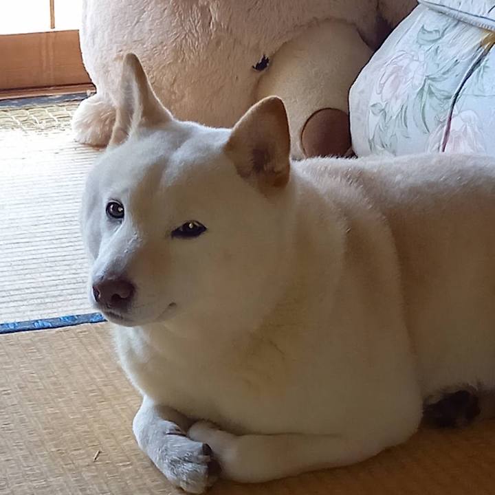 53e04e3a 8146 4997 b2c9 68ba5f522bdc 1648200307197