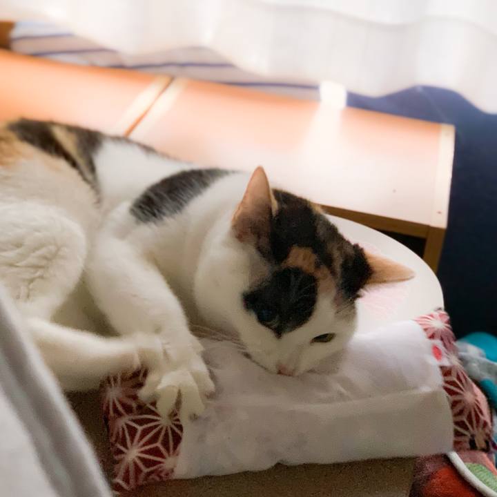 53e05588 3340 4b78 bc2d 6ca3b1369cd2 1581039772929