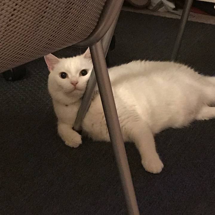 53e06f05 e06c 4c06 9686 b791e29cdc19 1510191798440