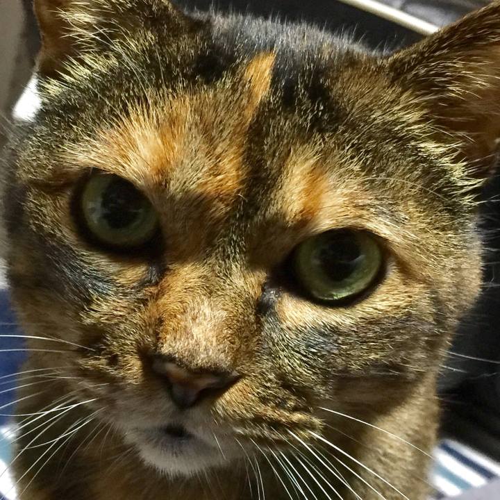 53e0949f f751 485b 8d29 e496910e6718 1573129471767