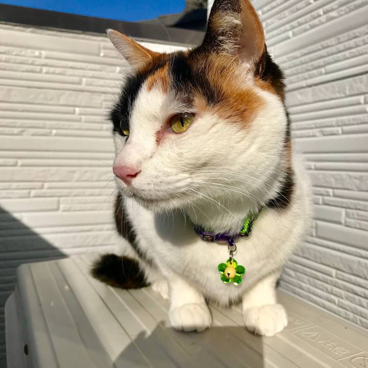 53e0a005 0ed7 45dd a99f b7e5c1ce7603 1518913009499