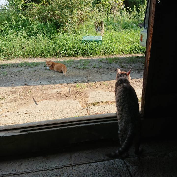 53e0a47d 8471 4c46 8dea a341d4579268 1597995428570