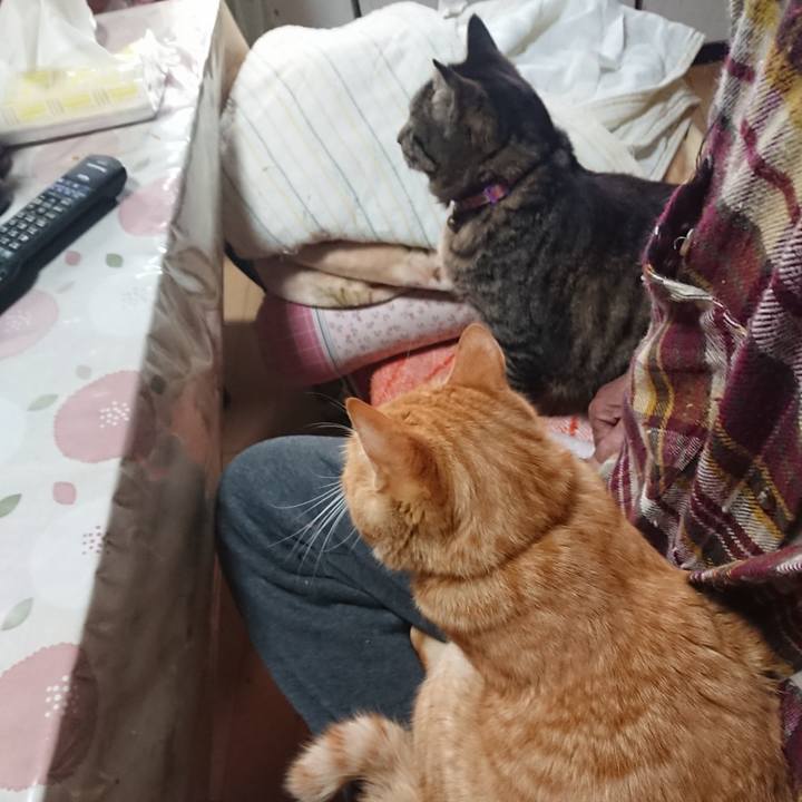 53e0a632 22c3 4673 a5b6 24d59593d0cd 1649372896846