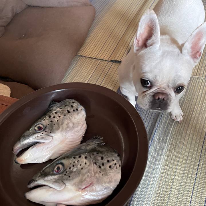 53e0df53 560b 407d 9983 603a766df2c1 1755039205132