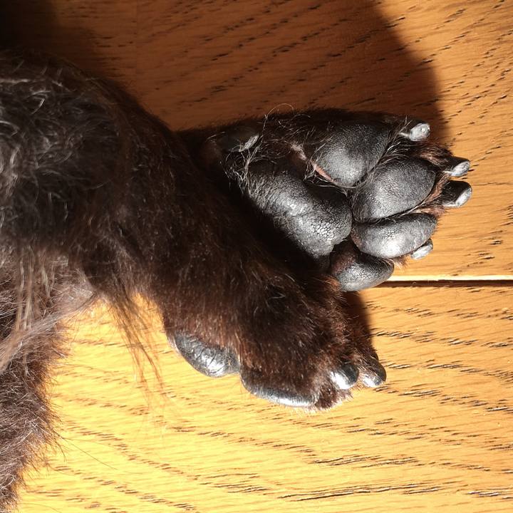 53e10ff4 e397 4190 a8b8 b3656bc87c31 1541456639416