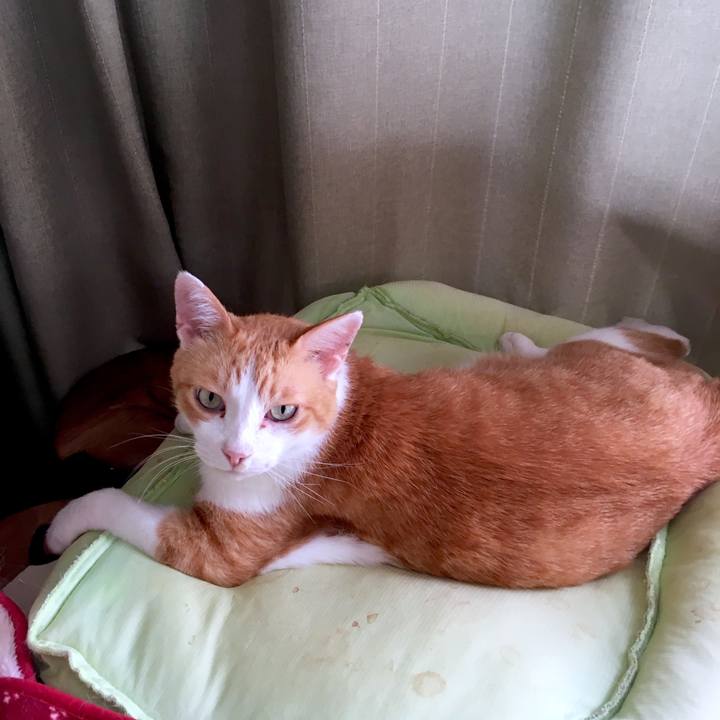 53e12dac c720 475c bf5d 50ae029868e1 1567488756834