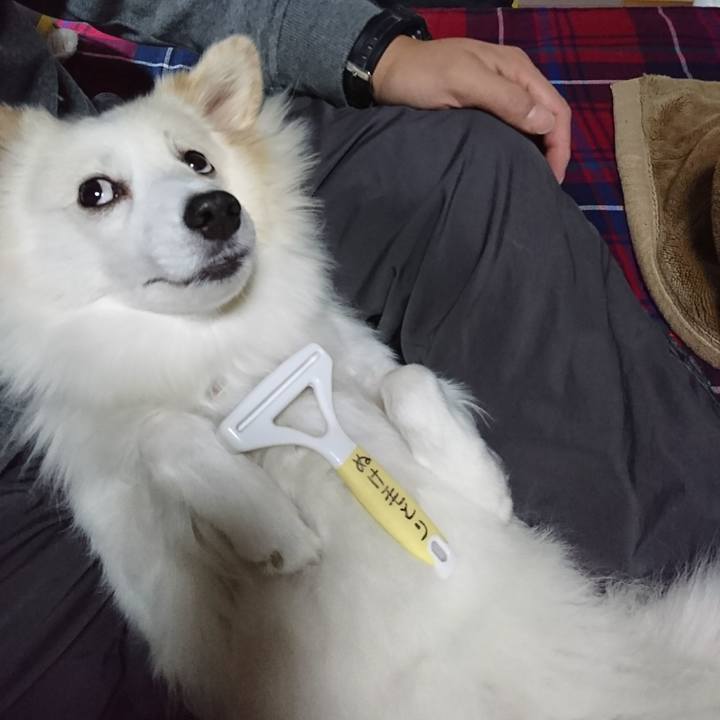 53e14411 a9cf 4923 b0f2 a485b028c657 1511125304218