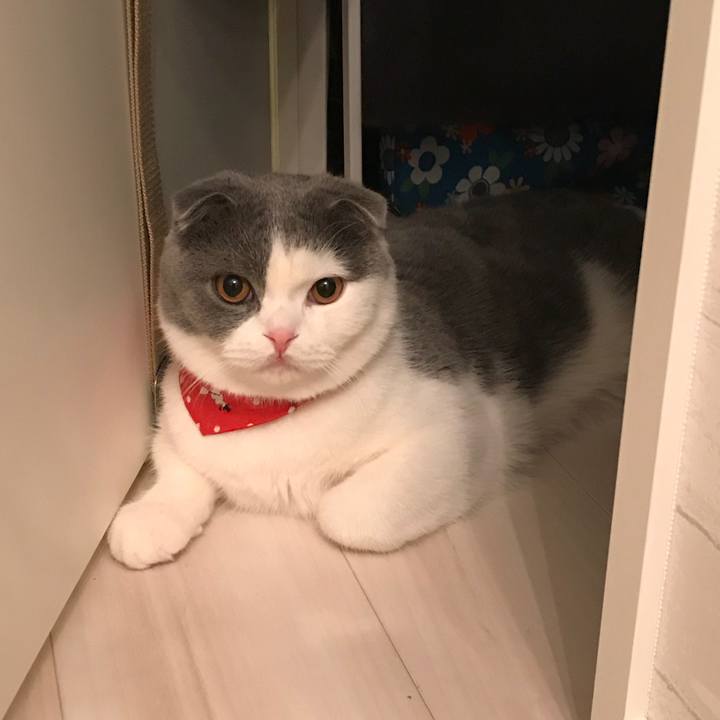 53e17e54 8401 43a7 887e 5d8d4d987e60 1512573655105