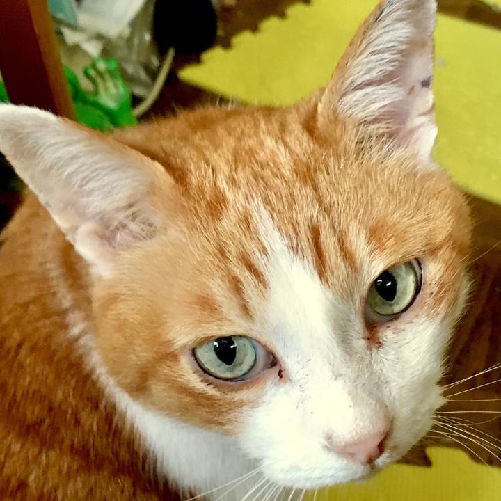 53e18291 30ea 4048 b918 33efd10bd442 1556833613053