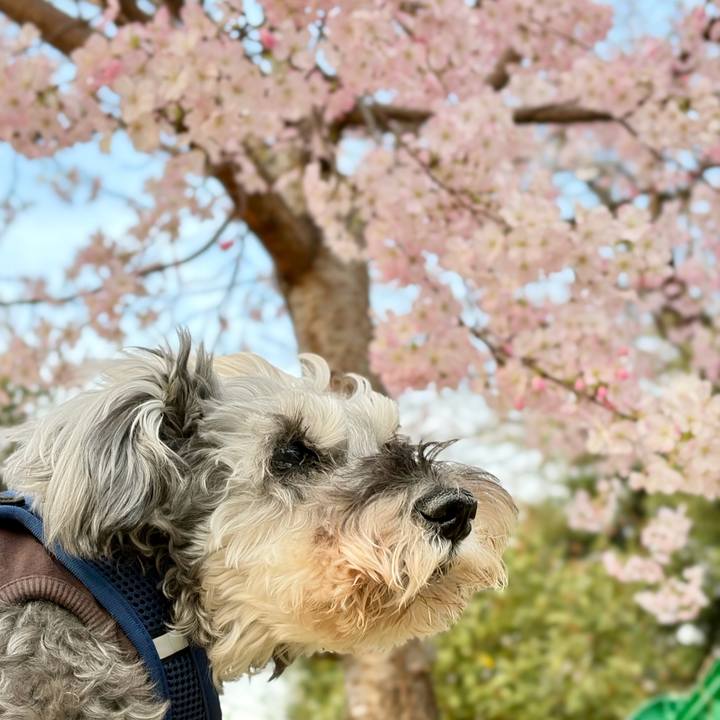 53e18b5f afa6 45e1 b767 0bf2d209d602 1774349326511