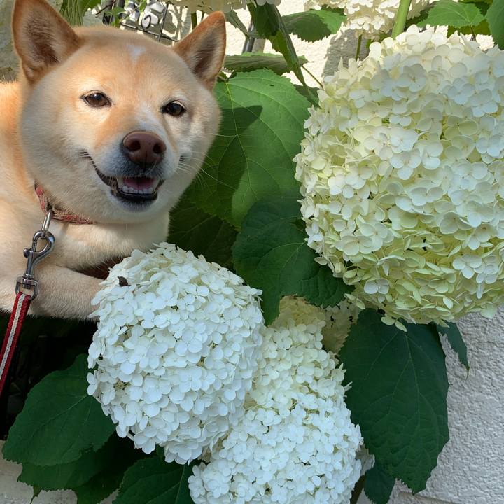 53e1cbb0 4fc8 4204 9f06 f78f73d9f339 1623968209189