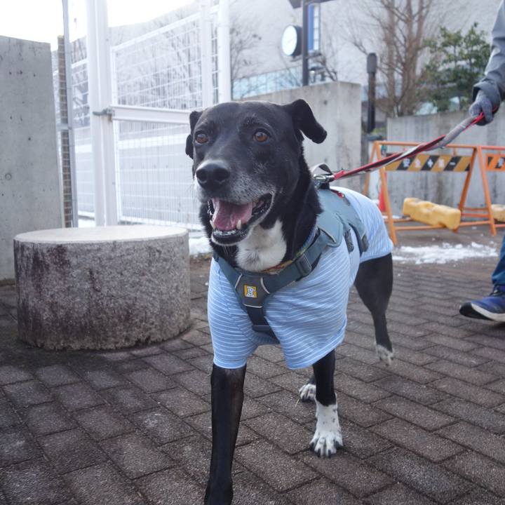 53e1d190 7cbc 4bf5 bffb 4f2762abb58b 1707355506448