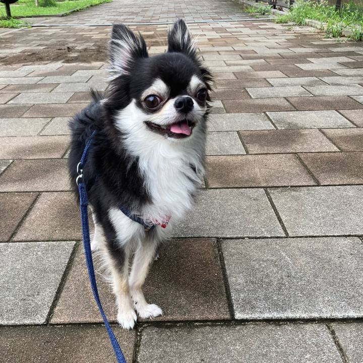 53e1d568 eb05 4630 98ca 5a70b74bf298 1658149019049