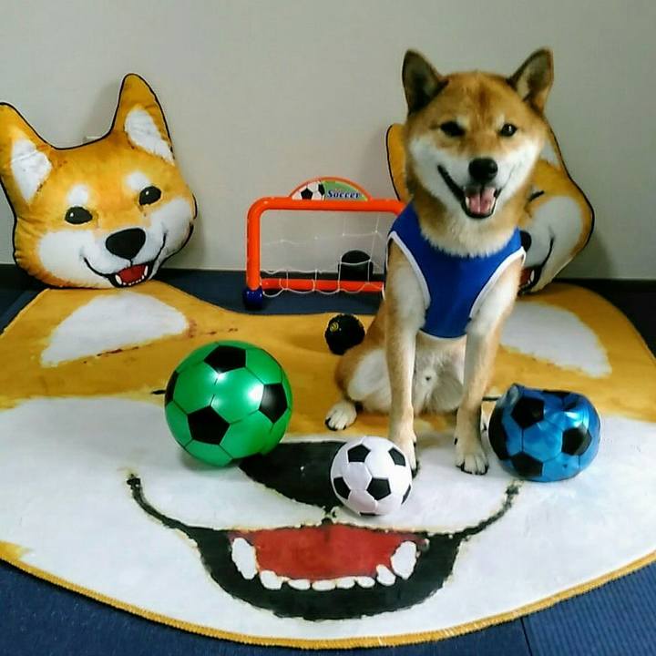 53e228fe 3897 4ad8 9d95 440f5a384e05 1567655313476