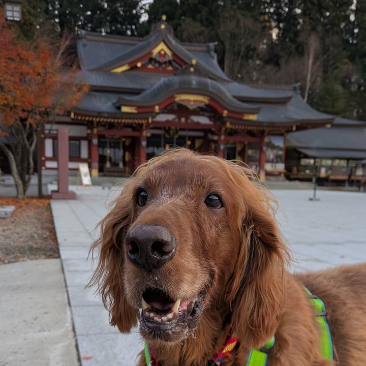 53e23125 06b1 468f ad7d 3958c42a522c 1764281803211