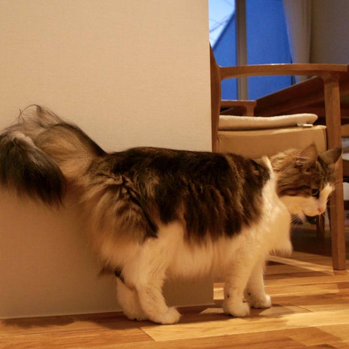 53e237b8 4364 4986 a243 ca4ca491adf1 1541754960844