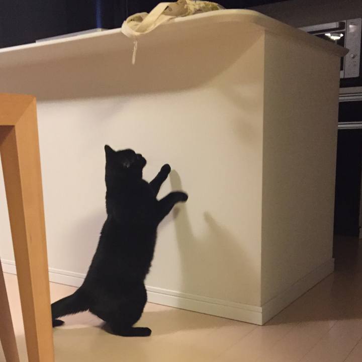 53e25e84 32ca 4072 9559 b01eba3fa6d6 1527167401870