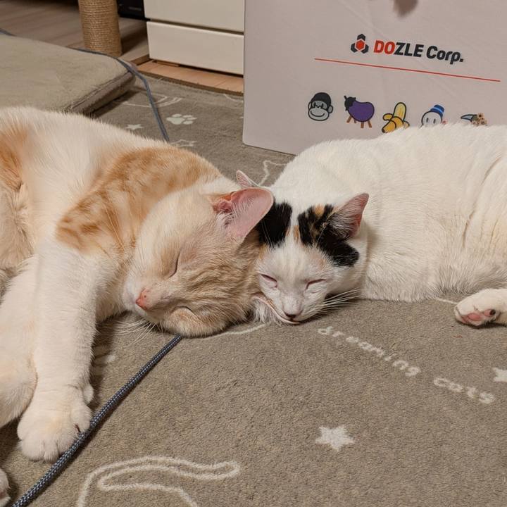 53e26a9f 1ef4 4701 beec 88e065a71b96 1738916514871