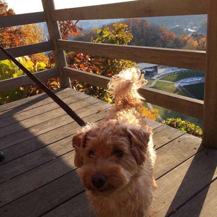 53e293fe f629 4c25 be99 7a8660157803 1509148000414