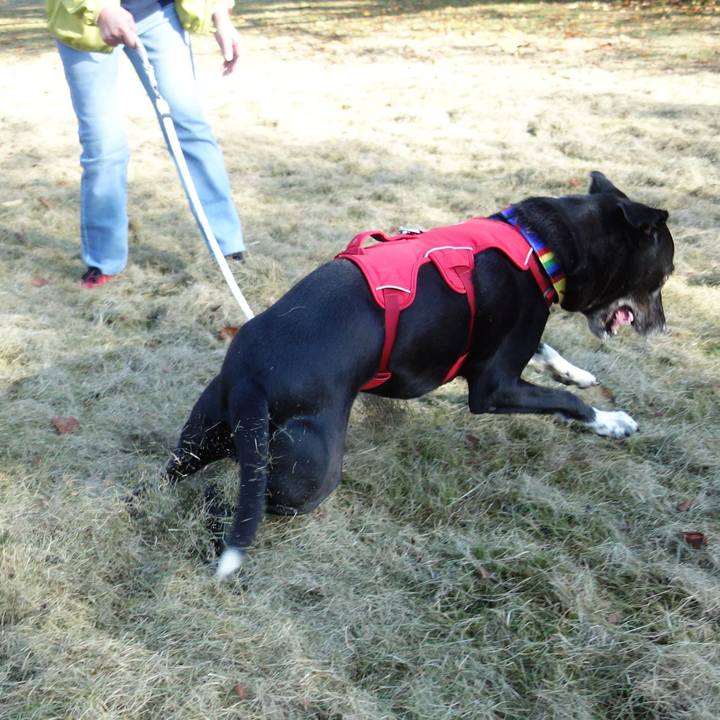 53e2c6d9 d17e 4f1b 892a d73f9e534e92 1666486794339