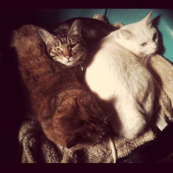 53e2e0fc 56e2 491a a262 05a167009103 1507975075252