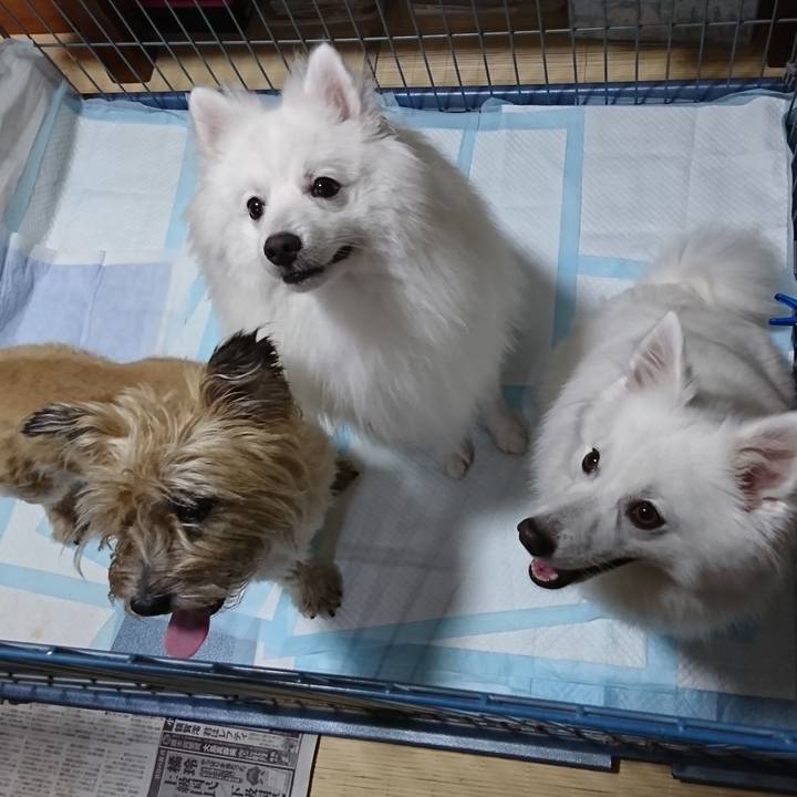 53e31a5e ceb2 42b4 9177 058e70a99918 1565921750641