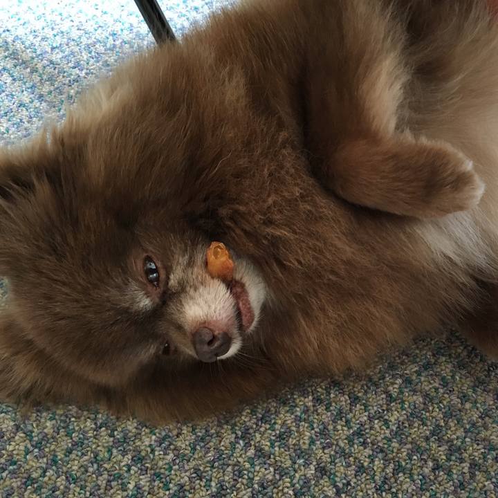 53e34400 d5c1 4a73 924f 487d36e07d73 1529727432588