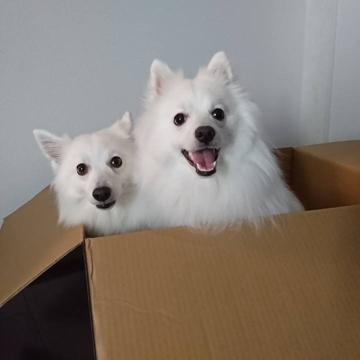 53e352bd c3a6 455d 8360 0d06cfabc8c7 1580448144631