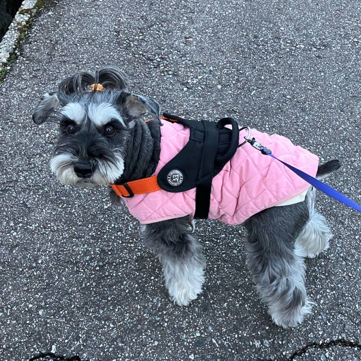 53e377f6 c5e6 436f 8938 341dd66dc227 1709389097158