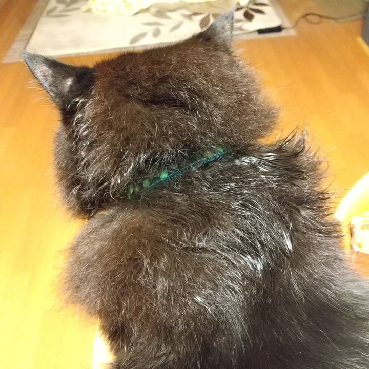 53e38b5c 4001 481c 8468 4b6d35e90ed8 1609843325207