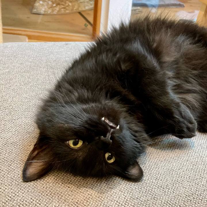 53e3a031 d47e 4a6f 8e57 e8c9047d10e4 1751075080594