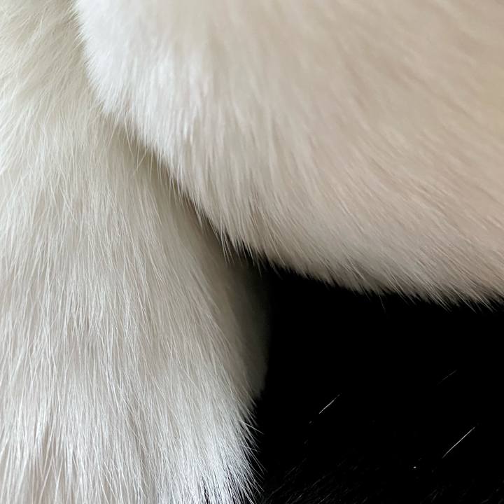 53e3beed a49f 4739 87ed 785dc3e83156 1641340758822