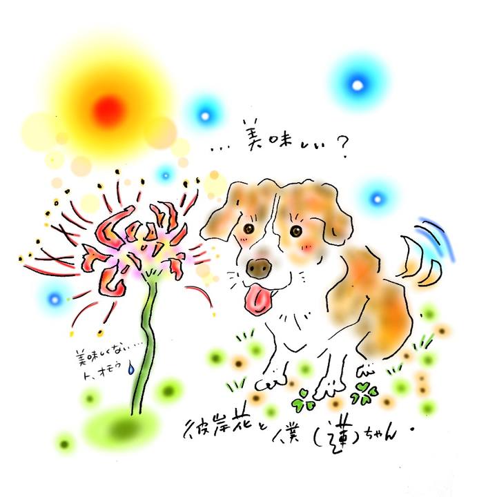 53e3df3c 5092 4ecb a06e 011ec56d8776 1601659401325