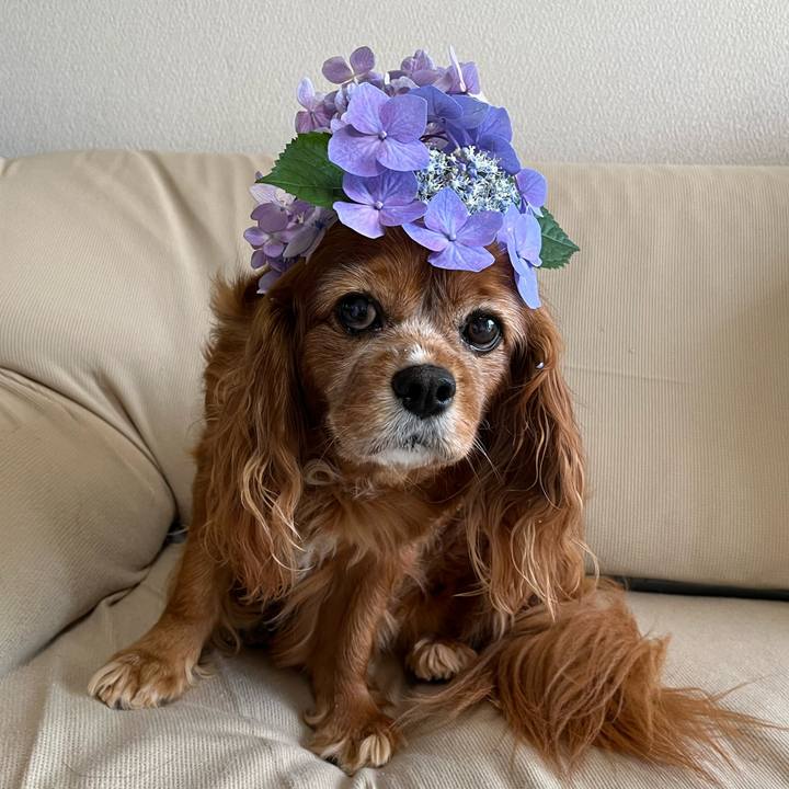 53e3f3c6 839c 4c30 9adc 9af49407cb41 1719015001917