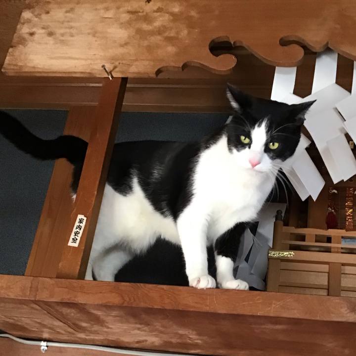 53e41259 d479 49e5 b77b b291cf289036 1739788660402