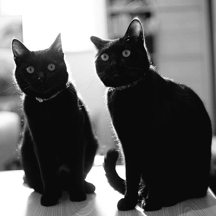 53e4217a 0406 40cc aae6 d74c2473dc1a 1534464032107