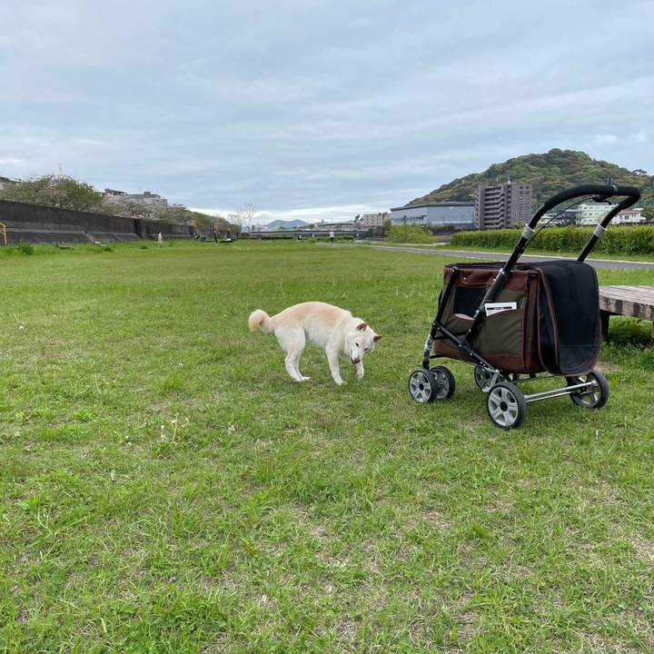 53e423cf 5ed5 4f79 b708 52544ac2e2d6 1649848609363