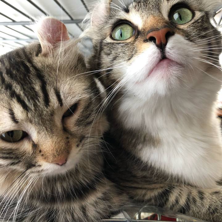 53e42b89 14af 4978 8dda 26b4a8ae9584 1516164804245