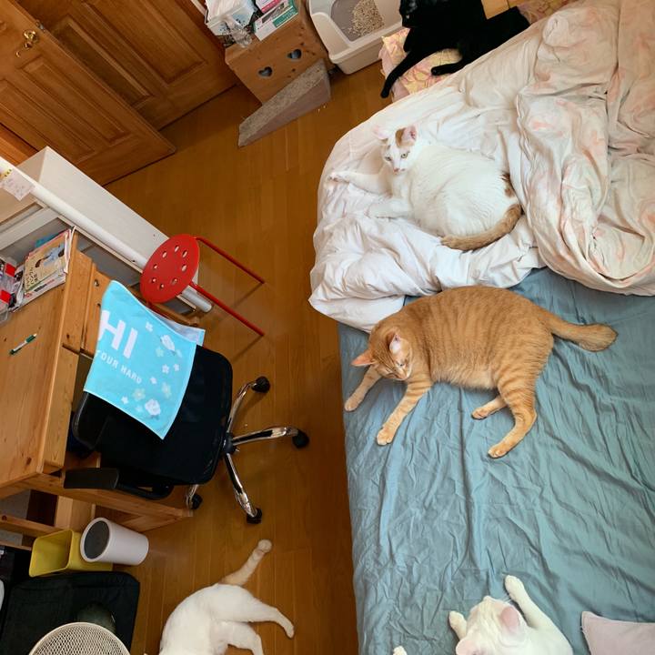 53e43c42 568a 435d 967a 8b400c8e1955 1562395880447